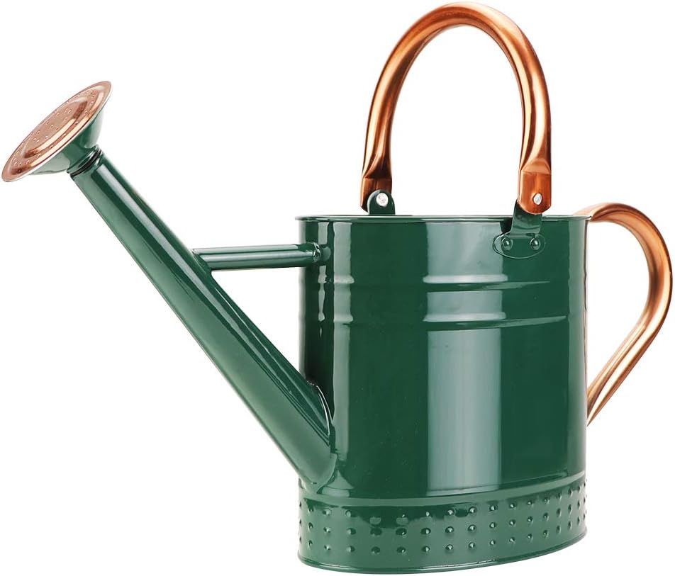 1 Gallon Metal Watering Can with Removable Spout, Nice Galvanized Steel Water Can with Embossed Design for Indoor and Outdoor Plants
