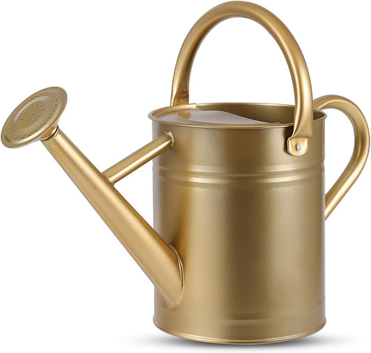 1 Gallon Watering Can for Plants, Watering Cans for Indoor&Outdoor Gardening, Galvanized Steel Watering Pot with Removable Spout, Metal Water Can with Ergonomic Movable Handle(Gold)