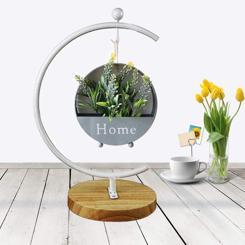 Archi G-Shaped Ornament Display Stand Iron Pothook Stand for Hanging Glass Terrarium/Picture with Wood Base(G Shape-White)