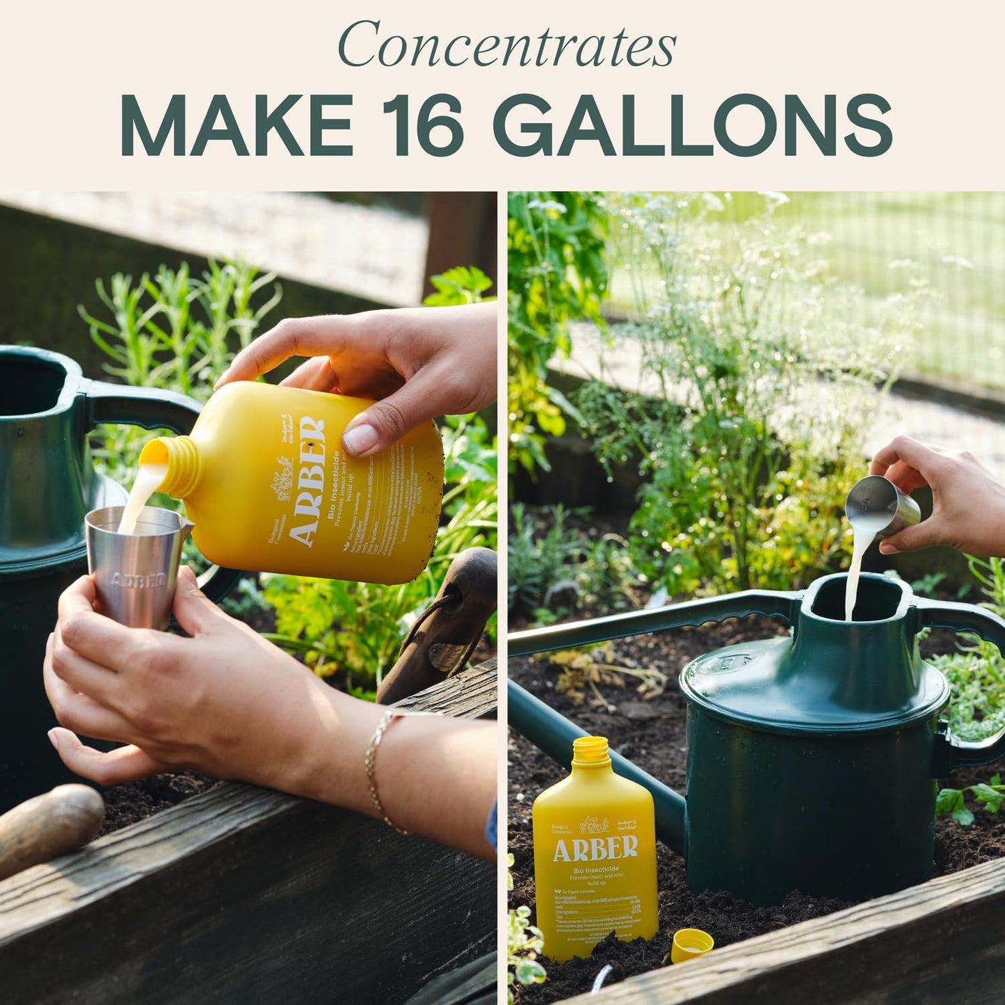 Organic Insecticide & Fungicide for Plants – Indoor & Outdoor Plant – Controls Powdery Mildew, Spider Mites, Aphids, Gnats & More – Safe Pesticide for Houseplant Insect Control, Vegetables & Lawns