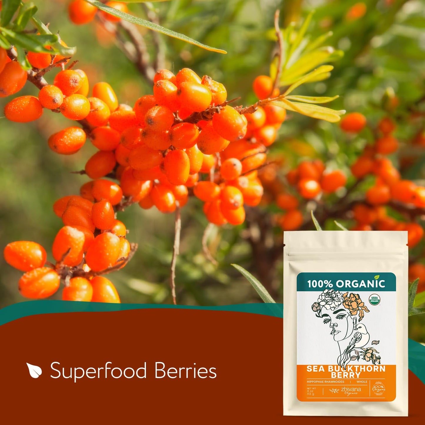 Super Value Pack - Organic Sea Buckthorn Berry Tea 5 LB - Seabuckthorn, Seaberry, Espino Amarillo