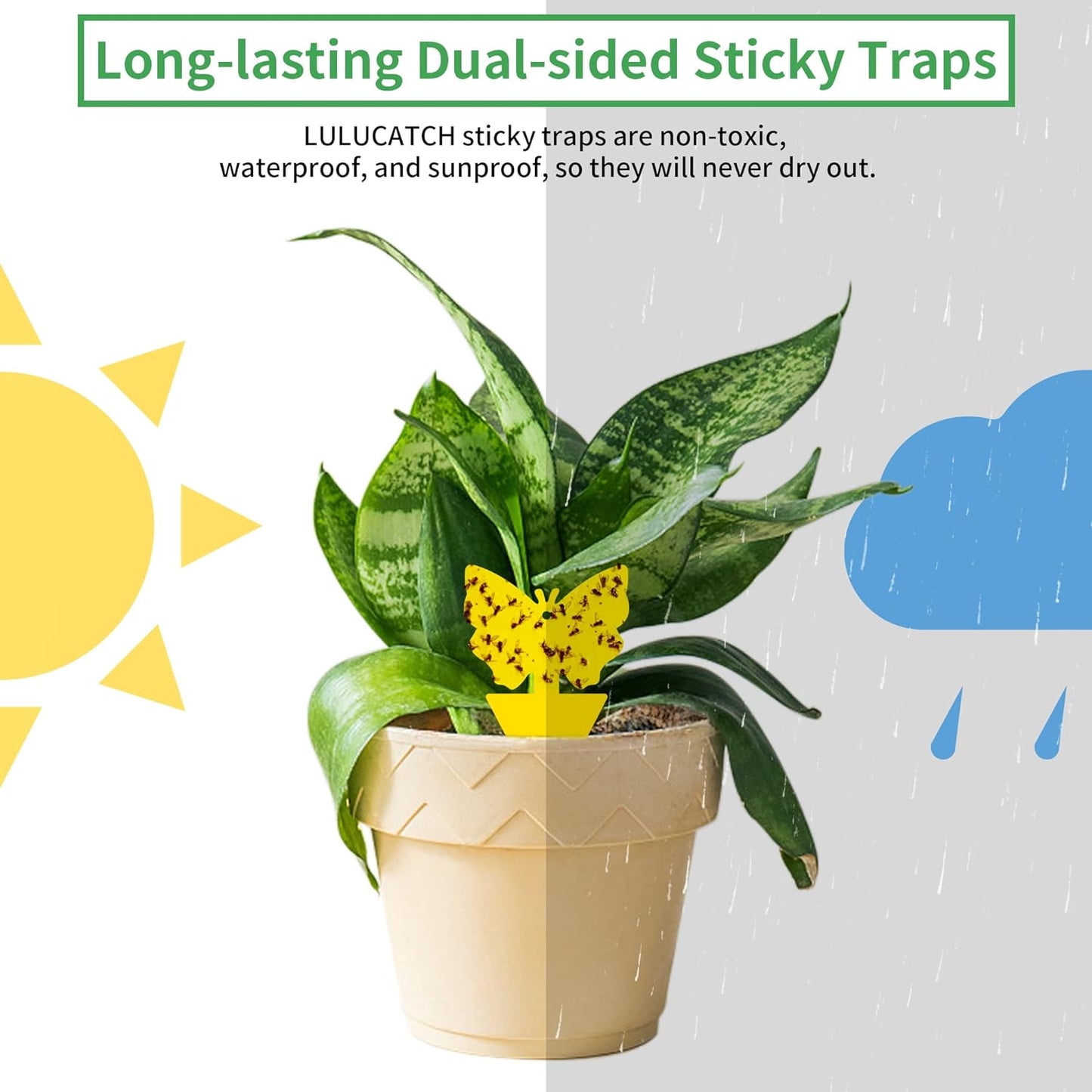 LULUCATCH Fruit Fly Sticky Traps 12 Pcs, Yellow Sticky Trap, Non-Toxic Gnat Traps Insect Catcher, Super Sticky Fly Traps for Indoor Outdoor Kitchen White Flies Mosquitos Fungus Gnats Flying Insects