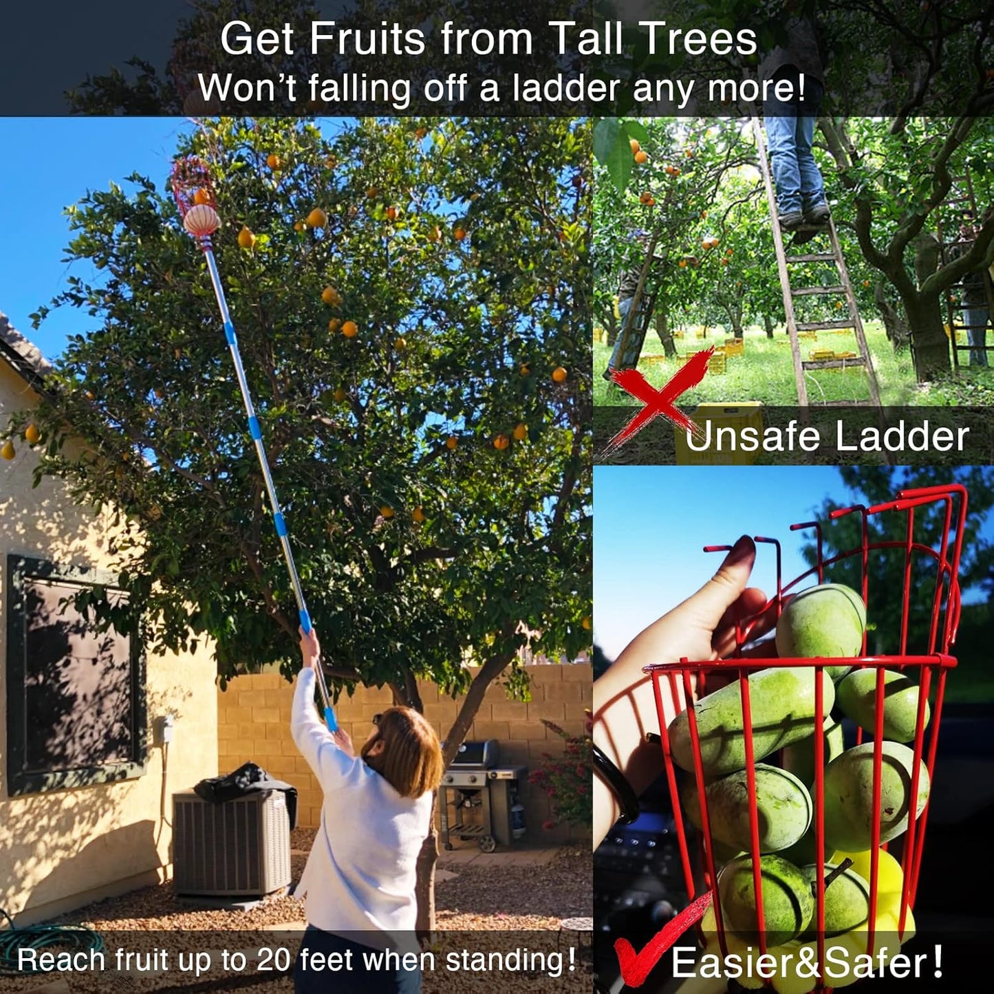 DnSail Fruit Picker Pole Tool with Basket Telescoping - Adjustable Mango Picker 35-68 inch Long Handle - Apple Orange Avocado Acorn Lemon Pear Pomelo Chery Picker for Tree