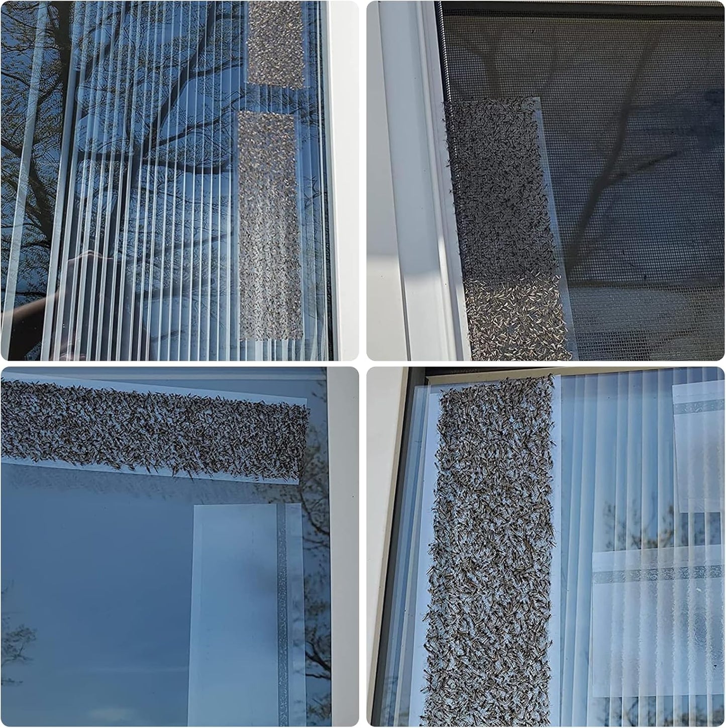 80 Pack Window Fly Traps Sticky,Clear Fly Paper Indoor for Home,Window Sticky Traps Fruit and Housefly Trap Indoor Fly Catcher Bug Traps Gnat Catcher Killer