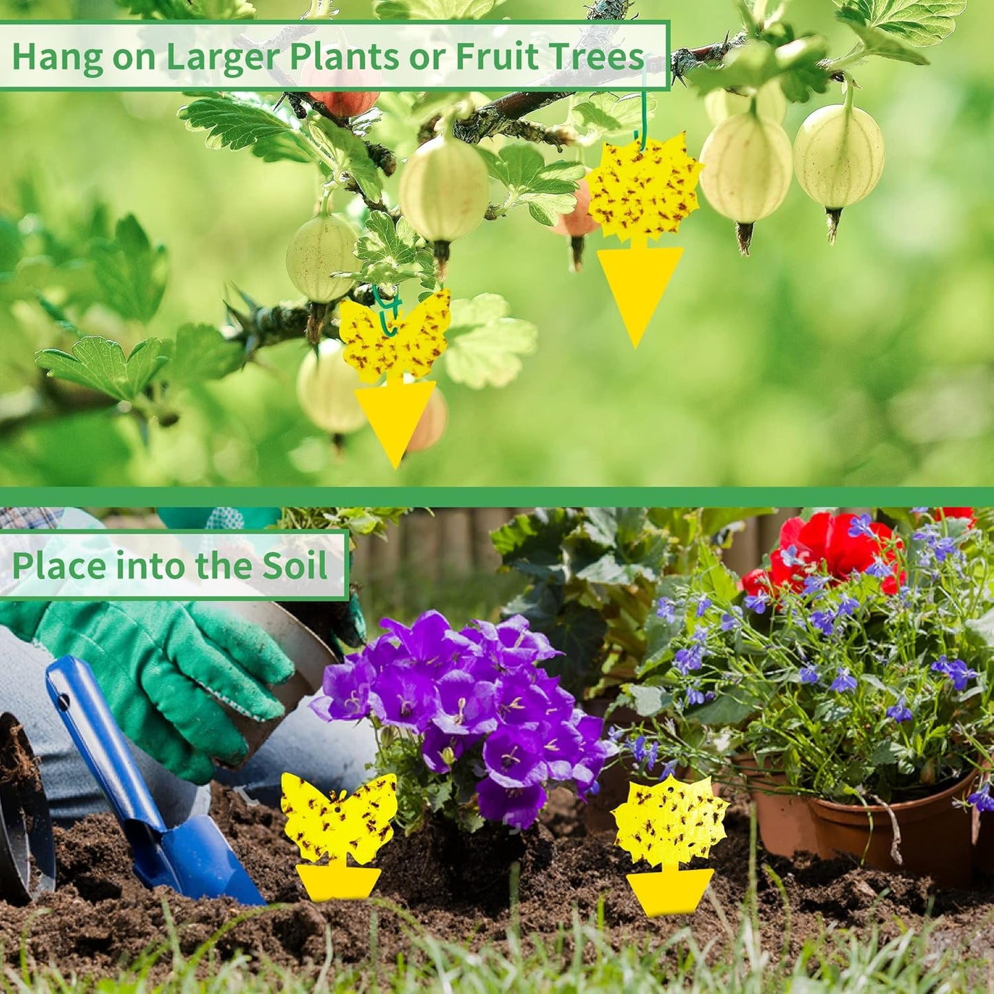 LULUCATCH Fruit Fly Sticky Trap 48 Pack, Safe Gnat Traps for Fruits, Plants, Super Sticky Fly Trap for Indoor, Outdoor, Kitchen, Insect Catcher for White Flies, Mosquitos, Fungus Gnats, Flying Insects