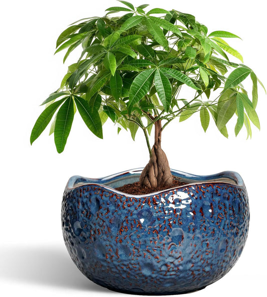 10 Inch Plant Pot - Ceramic Planter for Indoor Outdoor, Round Bonsai Pots, Decorative Flower Pots with Drainage Hole, Modern Unique Planters, House Decor, Home Gifts, Retro Blue