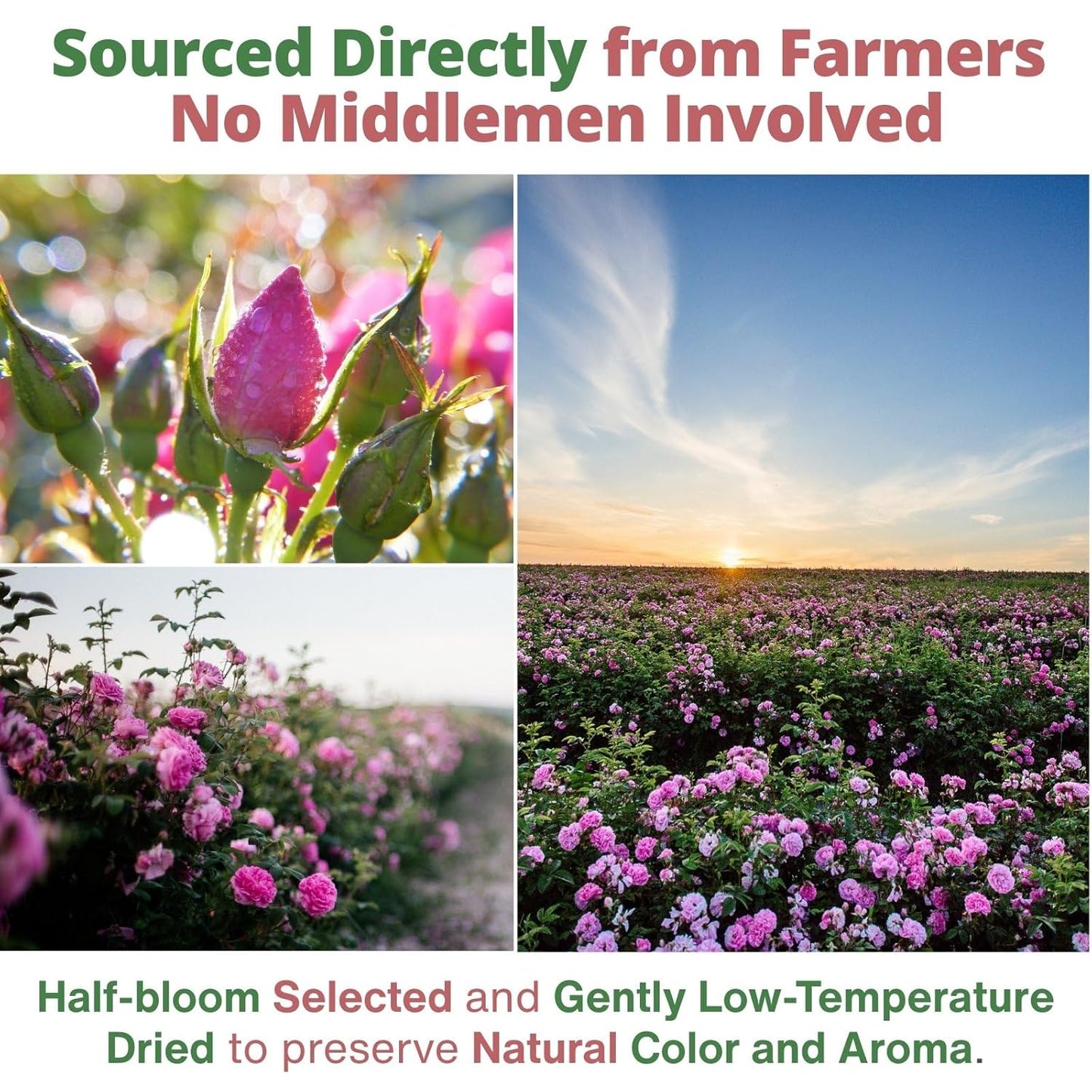 Dried Rose Petals Edible, 2.1oz (60g) Food Grade Rose Petals Tea– Culinary Roses Petals for Tea, Drinks, Baking & Cocktails, Edible Flower Petals for Cake Decorating, Desserts