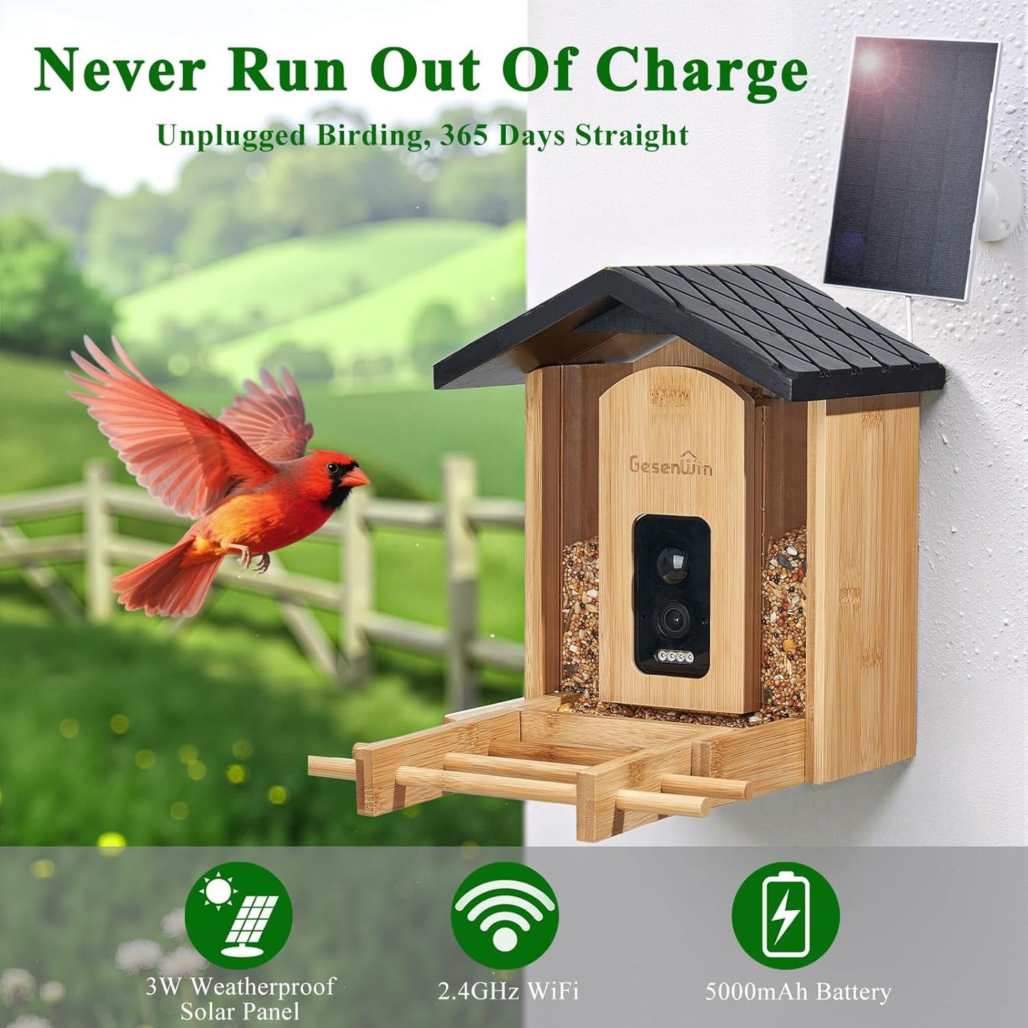 Smart Bird Feeder with Camera for Wild Birds - Identifies 11,000+ Species, Solar Panel Wireless Outdoors Bamboo Birdhouse with Cam, 2K HD Live Video & Instant Alerts - Bird Lover Gifts